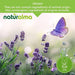 Naturalma Bärlauch Allium ursinum Tabletten