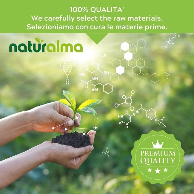 Naturalma Bärlauch Allium ursinum Tabletten