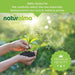 Naturalma Bärlauch Allium ursinum Tabletten
